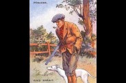 Trouvez-le-lapin.jpg