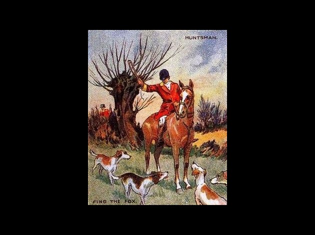 Trouvez-le-renard.jpg