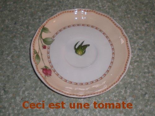 TomateMangée001