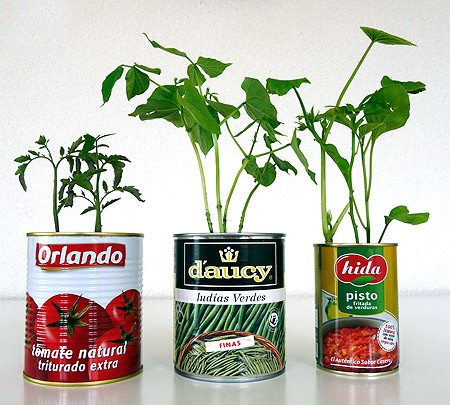 Conserves001
