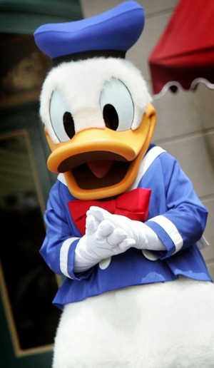 DonaldDuck001