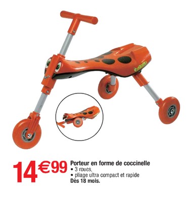 Coccinelle002