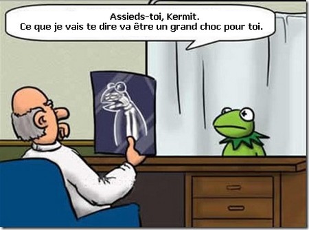 Kermit001