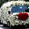Une fois mort, vous ne voulez plus polluer ?